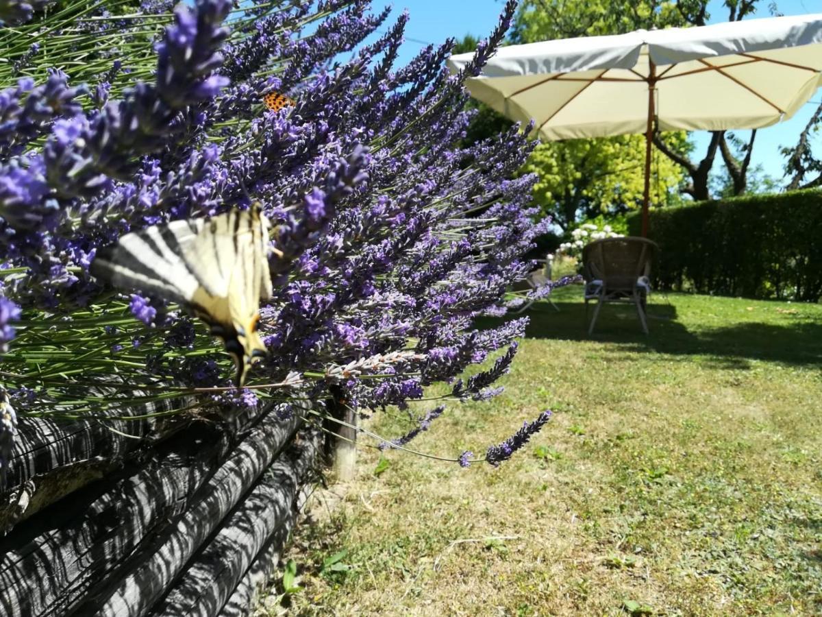 Sotto La Luna Bruna B&B Cocconato Zewnętrze zdjęcie