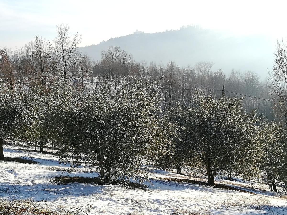 Sotto La Luna Bruna B&B Cocconato Zewnętrze zdjęcie