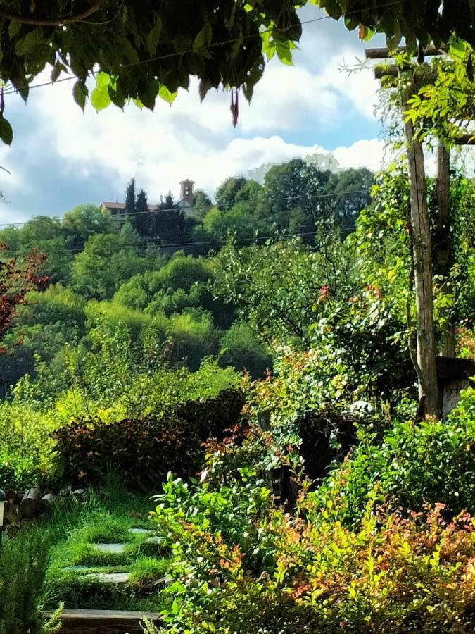 Sotto La Luna Bruna B&B Cocconato Zewnętrze zdjęcie