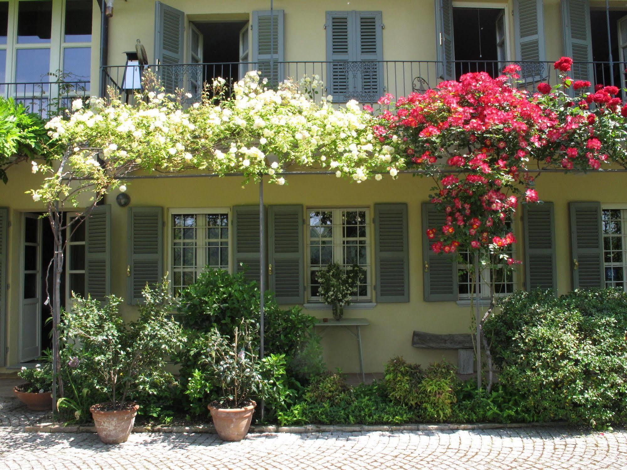 Sotto La Luna Bruna B&B Cocconato Zewnętrze zdjęcie