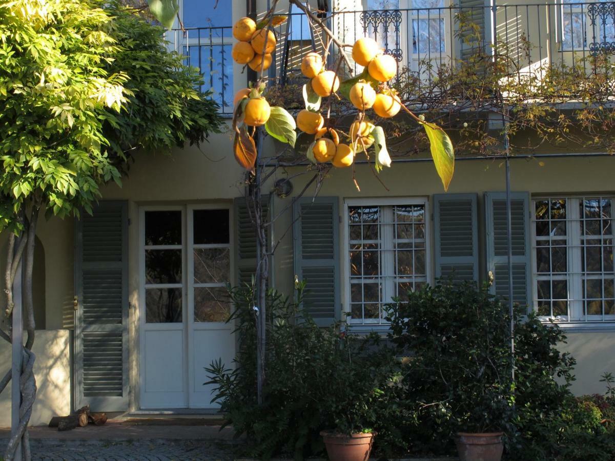 Sotto La Luna Bruna B&B Cocconato Zewnętrze zdjęcie