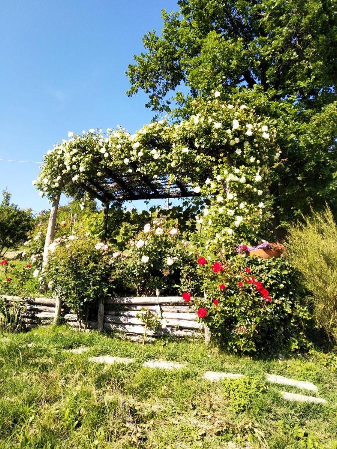 Sotto La Luna Bruna B&B Cocconato Zewnętrze zdjęcie